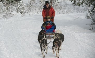 Golden State Dog-Sledding