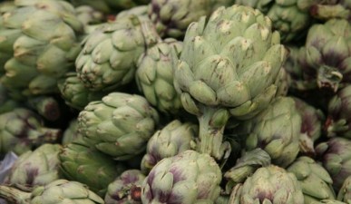 Dippable, Leafy, and Full of Heart: Artichoke Fest