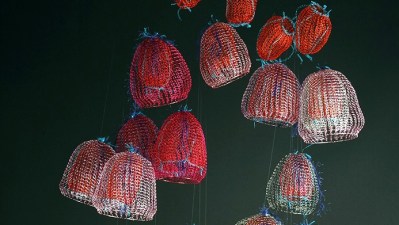Jelly Fish in the Museum