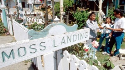 Moss Landing Antique Street Fair
