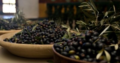 The Olive's Holiday