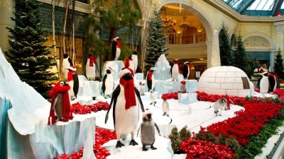 Penguins on the Strip