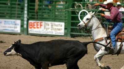 93rd Annual Livermore Rodeo