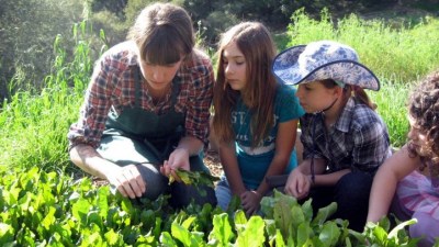 Homesteading 101