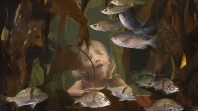 World Oceans Day in Monterey