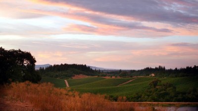 Passport to Dry Creek Valley