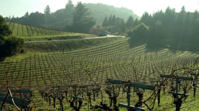 Passport Day in the Santa Cruz Mountains
