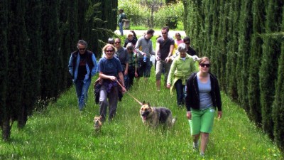 Walking the Dog, with Wine