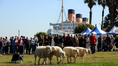 Scotland Celebrated, Queen Mary-Style