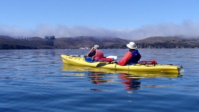 Tomales Bay Kayak Adventure