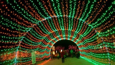 Palm Desert's Wildlights
