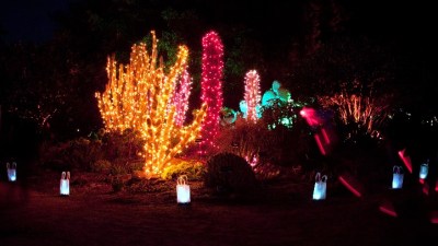 Mendocino's Merriest Season