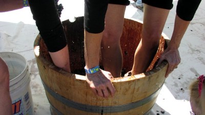 Grape Stomps and Mountain Air