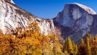 Golden Leaves, Half Dome