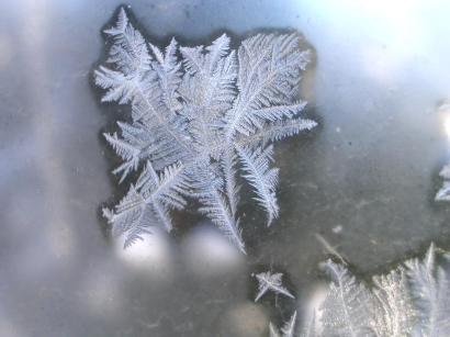 Frost