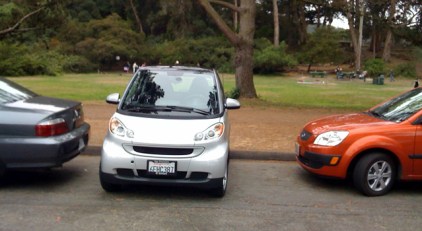 City Adds Another Reason to Stay Out of Golden Gate Park