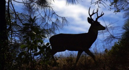 Use 'Em or Lose 'Em: Feds Might Seize State Parks