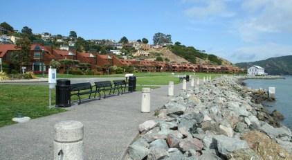 Here's Looking at You, Tiburon