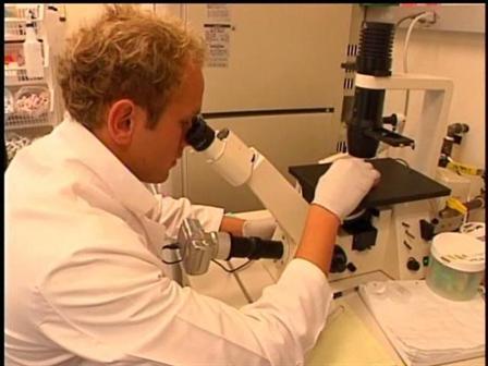 Should More Money for Stem Cells Come With a Tax?