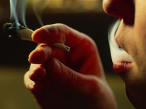 Democrats Pass on Pot