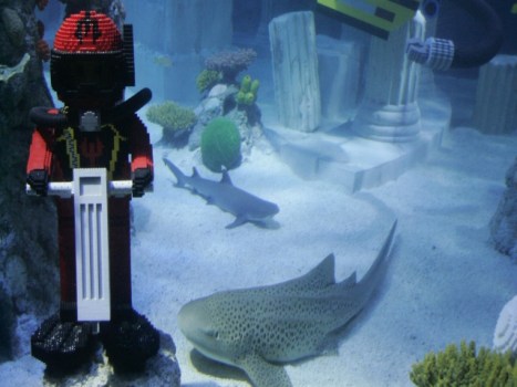 Meg's Search for the Lost City of Gold