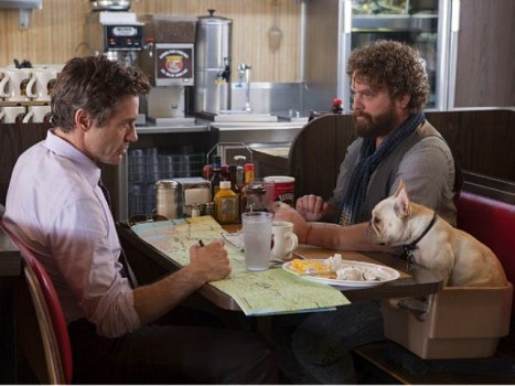 Downey and Galifianakis' "Due Date" Developing Nicely