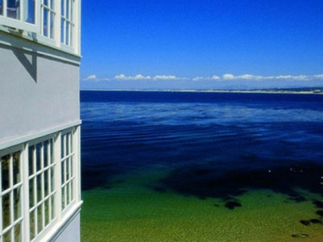 Cannery Row Spot Voted Most Romantic