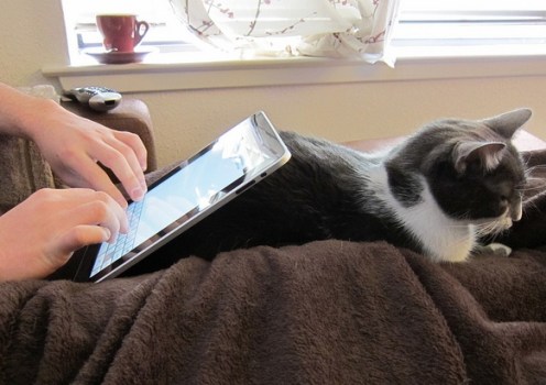 Is That an iPad 2 Screen?