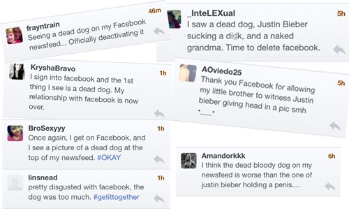 Facebook Blames Porn Attack on Browsers