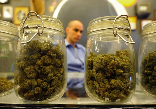Feds Flex Their Pot-Busting Muscles