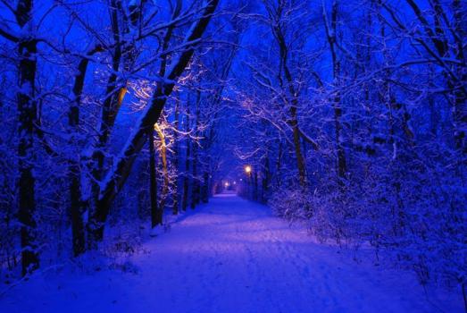 A Path Forward?