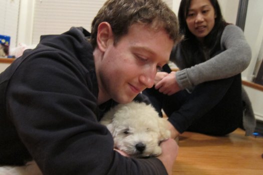 Zuckerberg's New Dog Is On Facebook