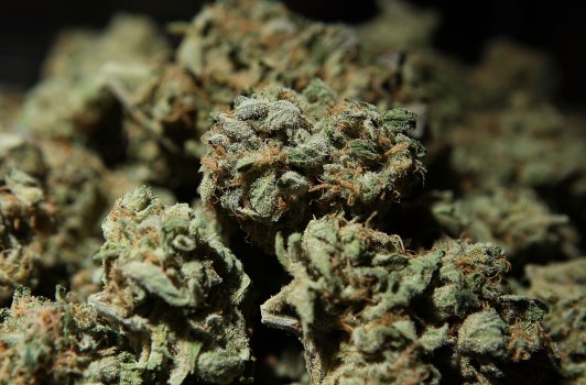 Can Pot Help Rescue California?