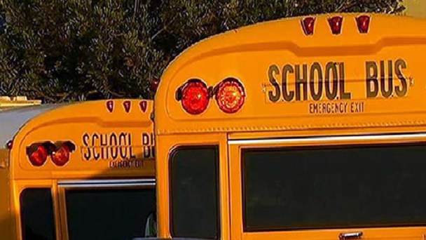 School Bus Drivers, Records Point to Problems