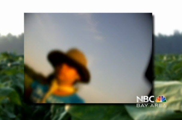 Children in the Fields: North Carolina Tobacco Farms