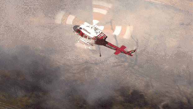 [LA GALLERY UPDATED 4-19] Southern California Images in the News