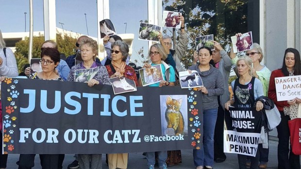 Cat killer sentenced to 16 years in jail Cat killer sentenced to 16 years in jail