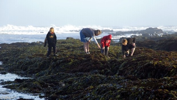 California's Happiest Seaside Towns