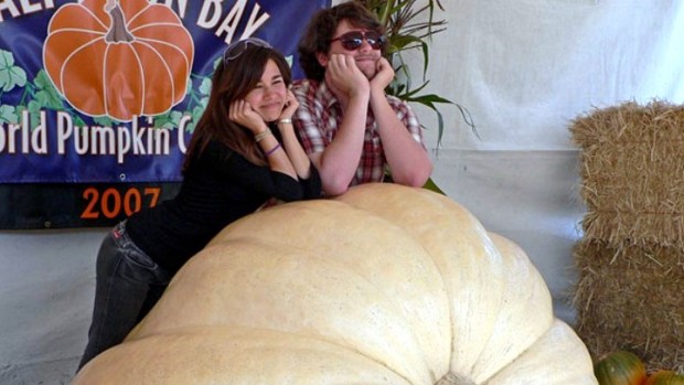 Half Moon Bay's Giant Pumpkins