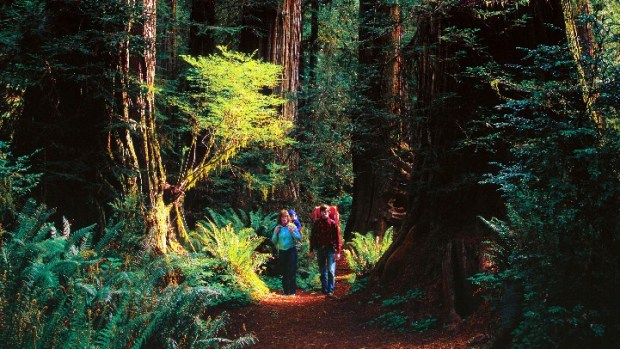 National Parks for Free