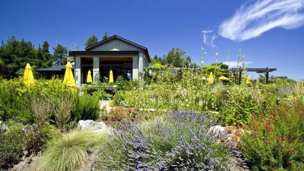 International Thursdays at Lynmar Estate