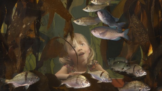 World Oceans Day in Monterey