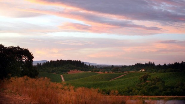 Passport to Dry Creek Valley