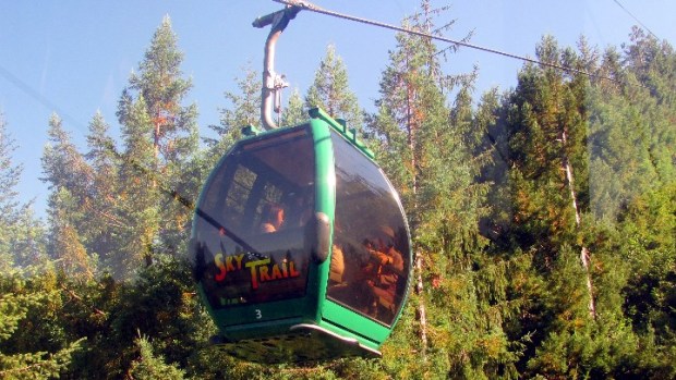 Happy 10th, Skytrail