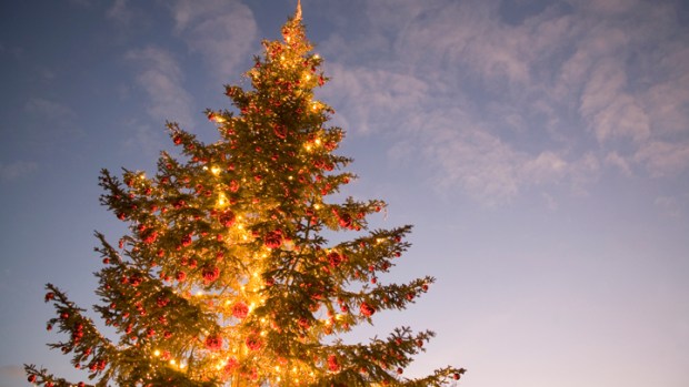 Opinion: Holiday Season From Political Hell