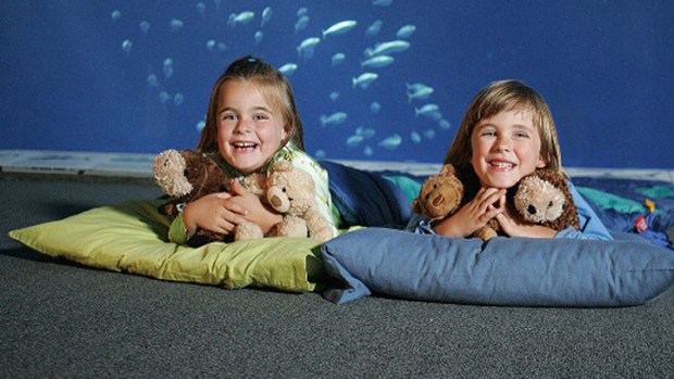 Spring Sleepover at the Aquarium