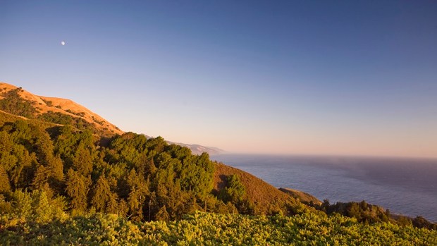 Big Sur Photo Safari