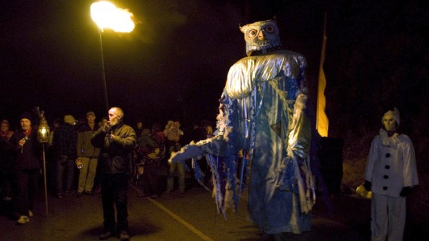 Mysterious Puppets in the Redwoods