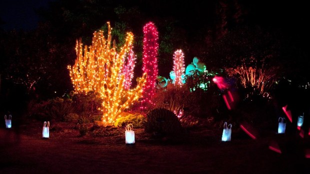 Mendocino's Merriest Season