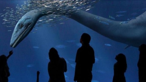 Aquarium-Style April Fools